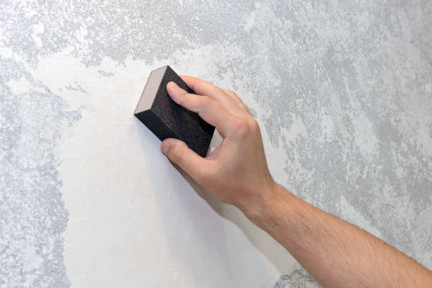 Environmental Consulting for Mold Prevention in Horseheads North, NY