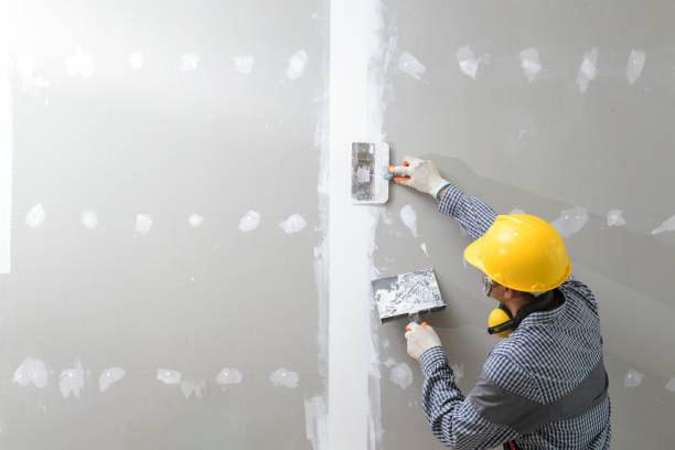 Best Mold Odor Removal Services  in Horseheads North, NY