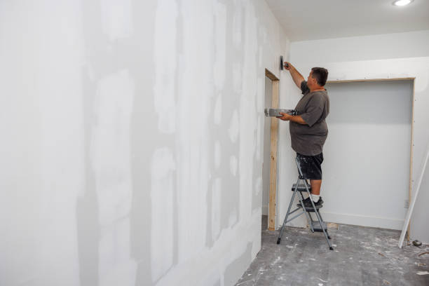 Best Biohazard Mold Removal  in Horseheads North, NY