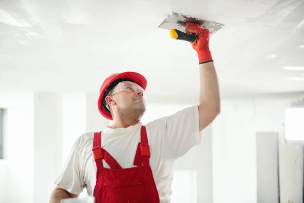 Horseheads North, NY Mold Removal Company