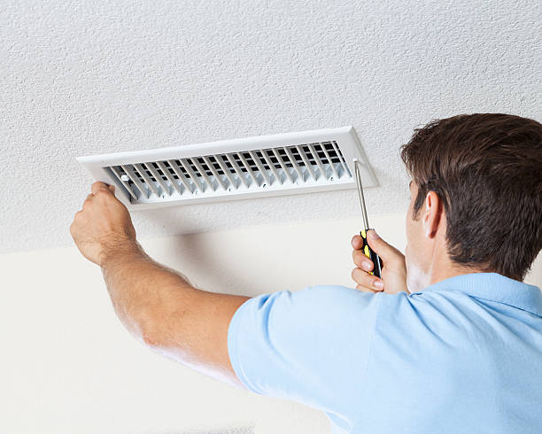 Best Attic Mold Removal  in Horseheads North, NY