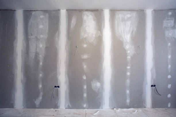 Best Basement Mold Removal  in Horseheads North, NY